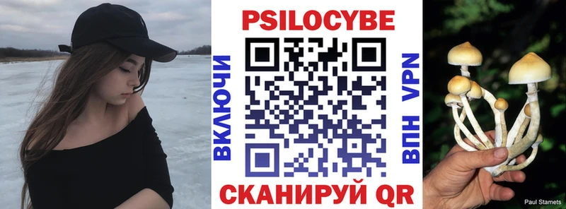 Псилоцибиновые грибы Magic Shrooms  купить закладку  Зверево 